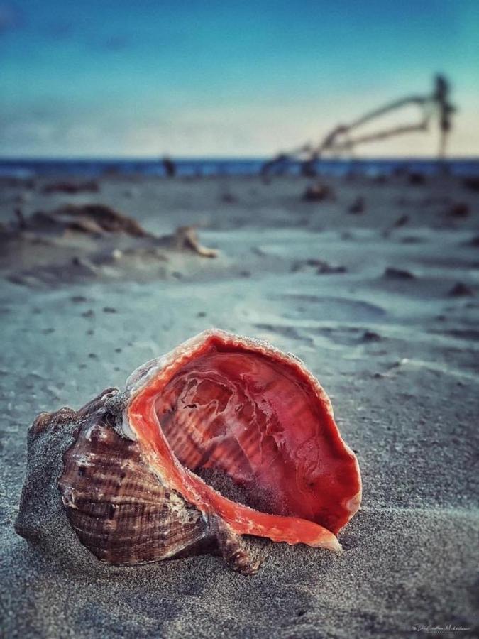 Wave 2 Mamaia Prima Linie Vedere La Mare 120Mp Năvodari Esterno foto